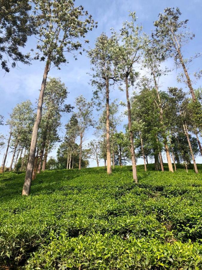 فندق Parisons Plantation Experiences By Abad مانانثافادي المظهر الخارجي الصورة